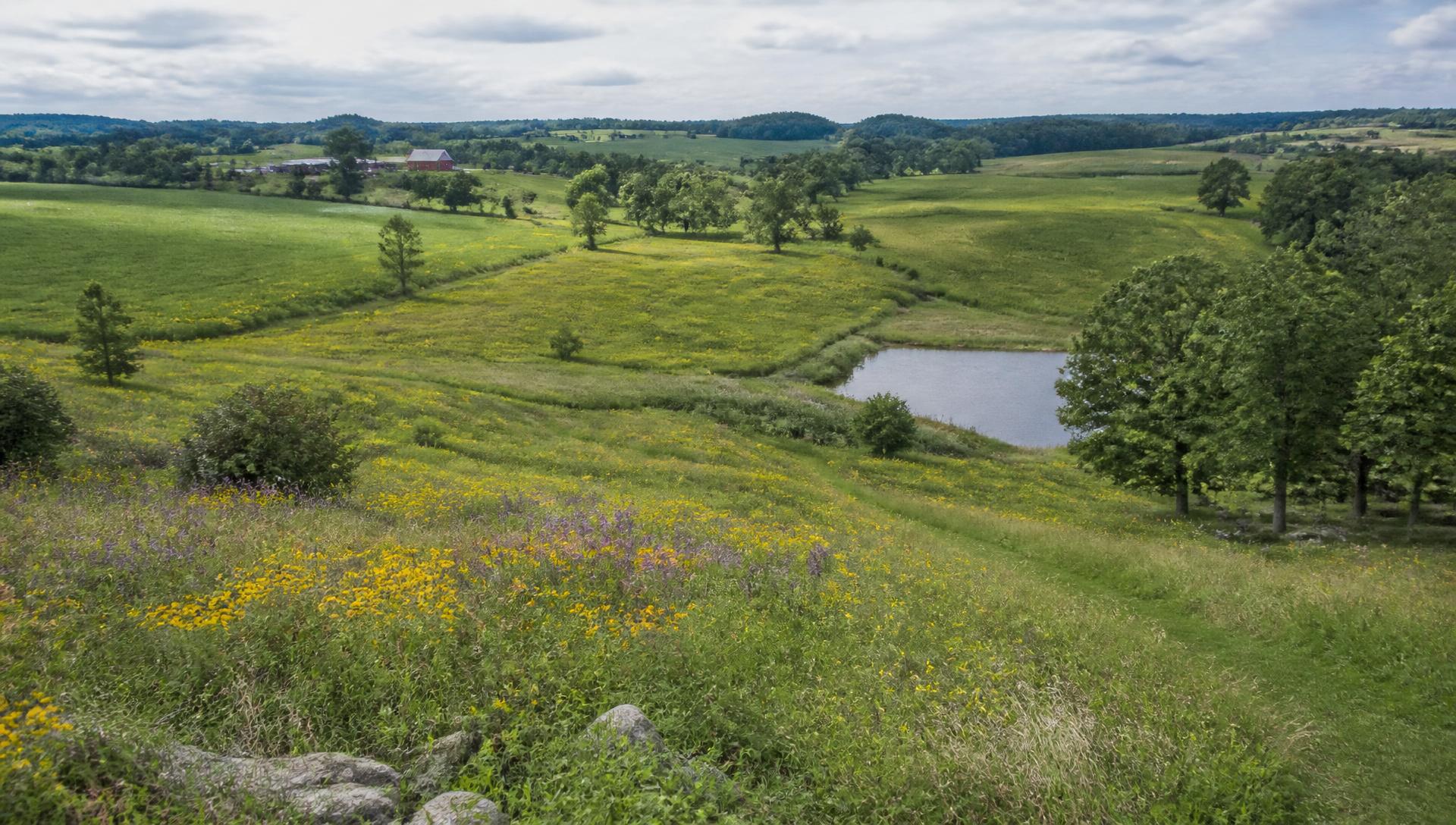 Rolling Wisconsin farmland transitioning into restored prairie